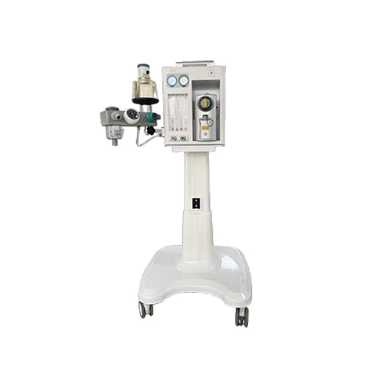 Dental Anesthesia